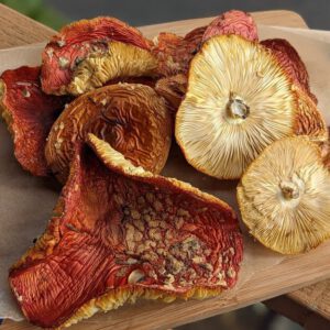 Buy Amanita Muscaria Online UK , Amanita Muscaria for Sale England, order Amanita Muscaria Scotland, Where to buy magic mushroom Northern Ireland